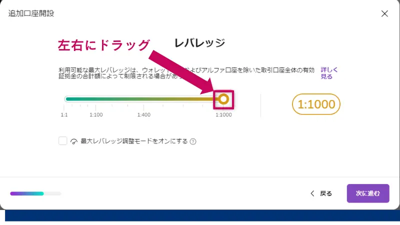 利用したいレバレッジをドラッグして決定