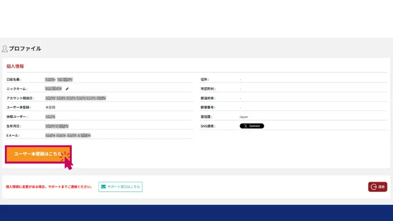 Bigbossの口座開設の際のプロファイル画面